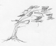 WindBlown_Semi-Cascade_W160